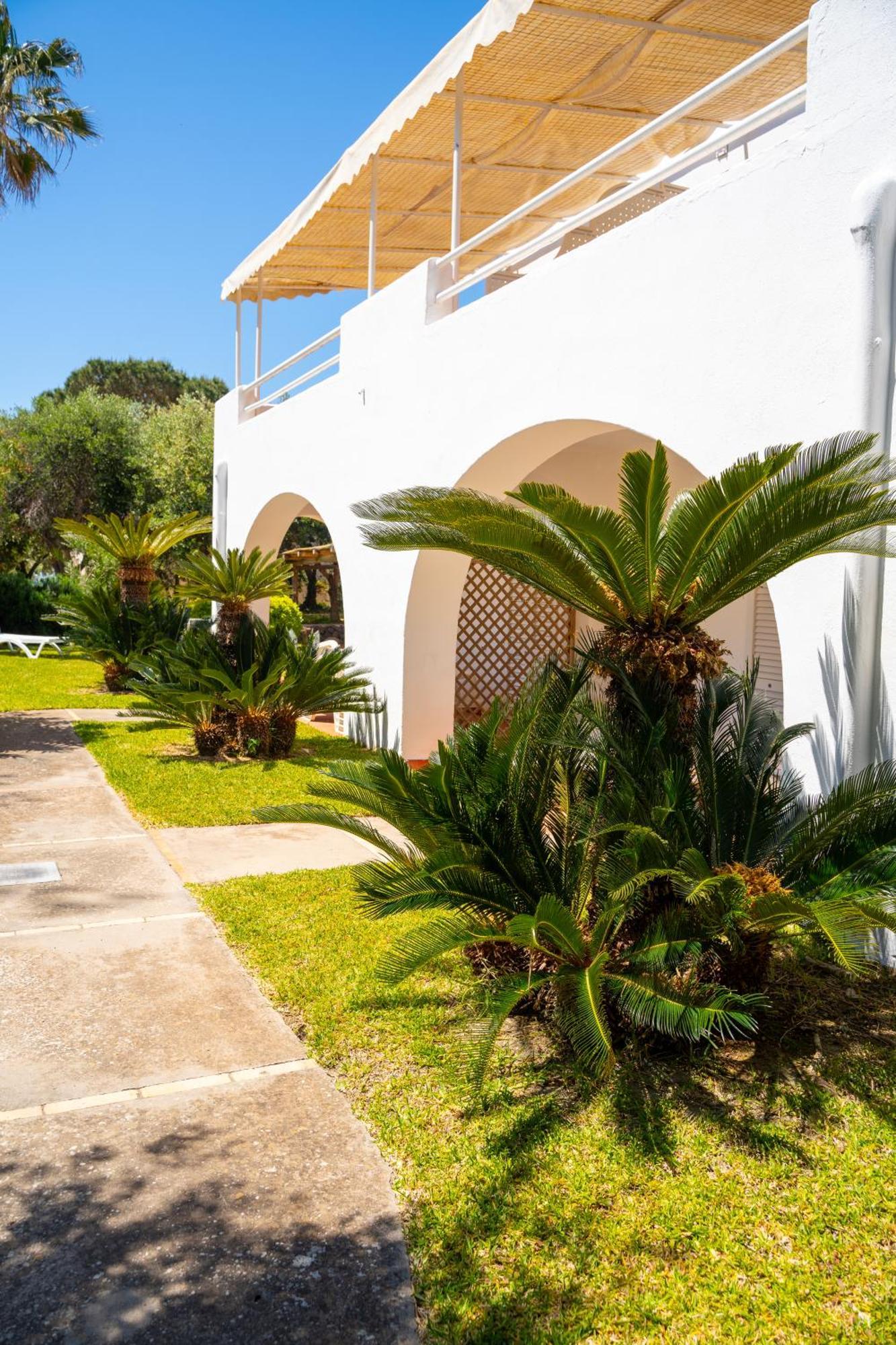 Residence Palummera Ischia Exterior photo